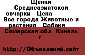 Щенки Среднеазиатской овчарки › Цена ­ 30 000 - Все города Животные и растения » Собаки   . Самарская обл.,Кинель г.